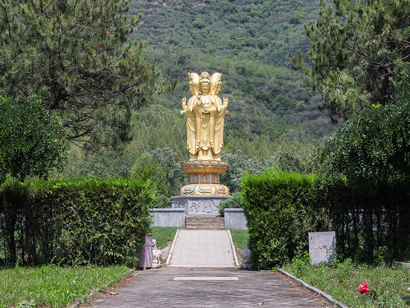 凤凰山陵园优缺点有哪些（凤凰山陵园环境如何）